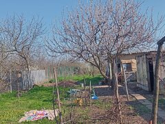 Lilieci, Ialomita