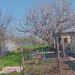 Lilieci, Ialomita